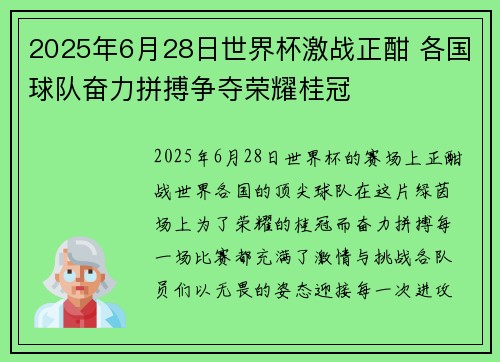 2025年6月28日世界杯激战正酣 各国球队奋力拼搏争夺荣耀桂冠